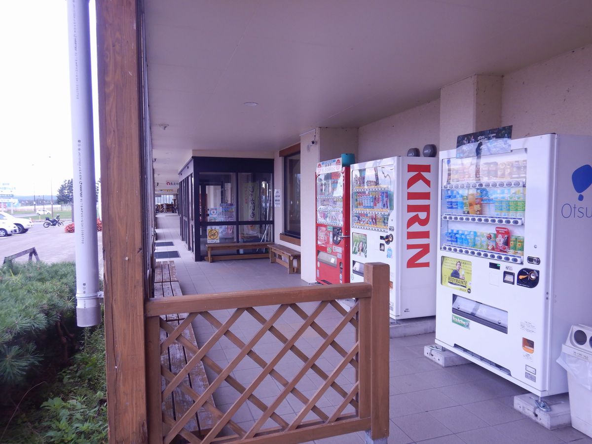 野宿