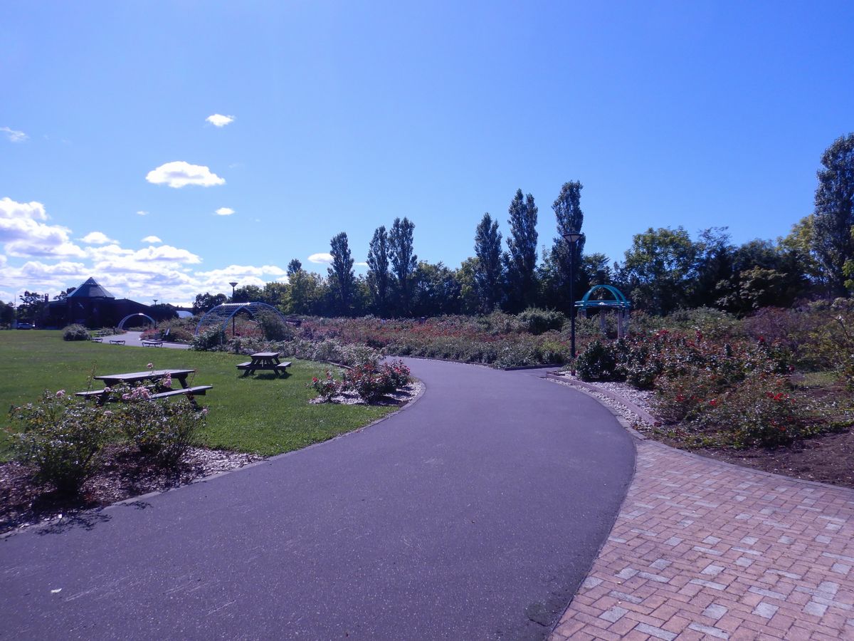 公園