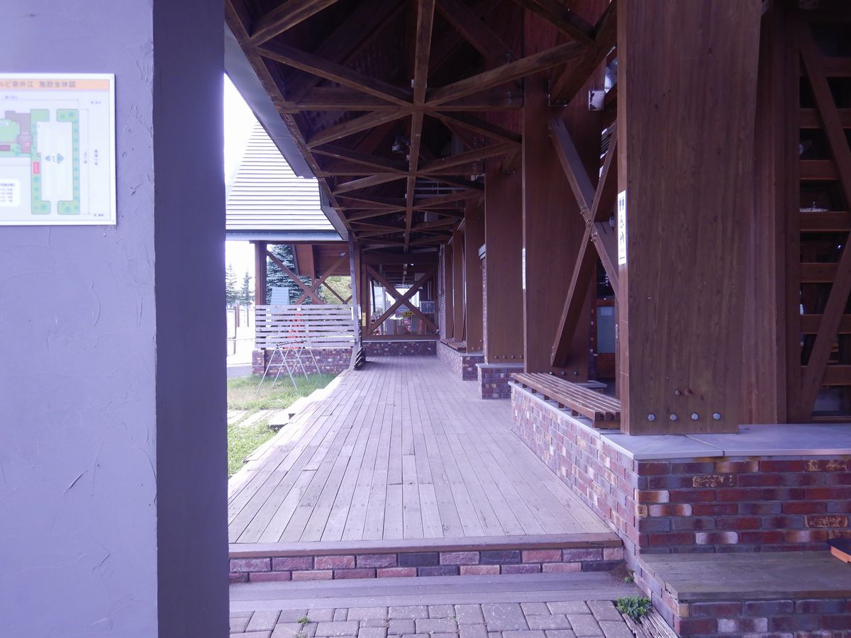 野宿