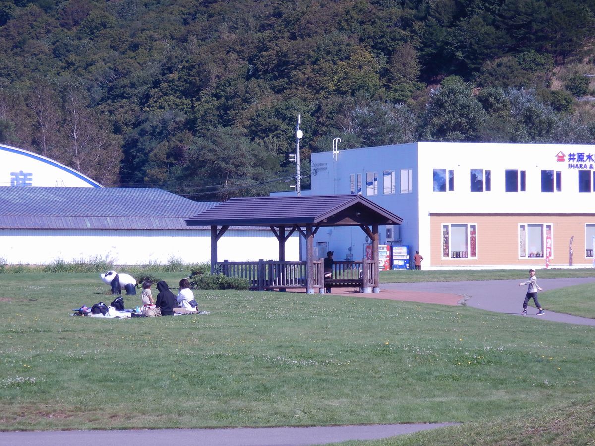 野宿