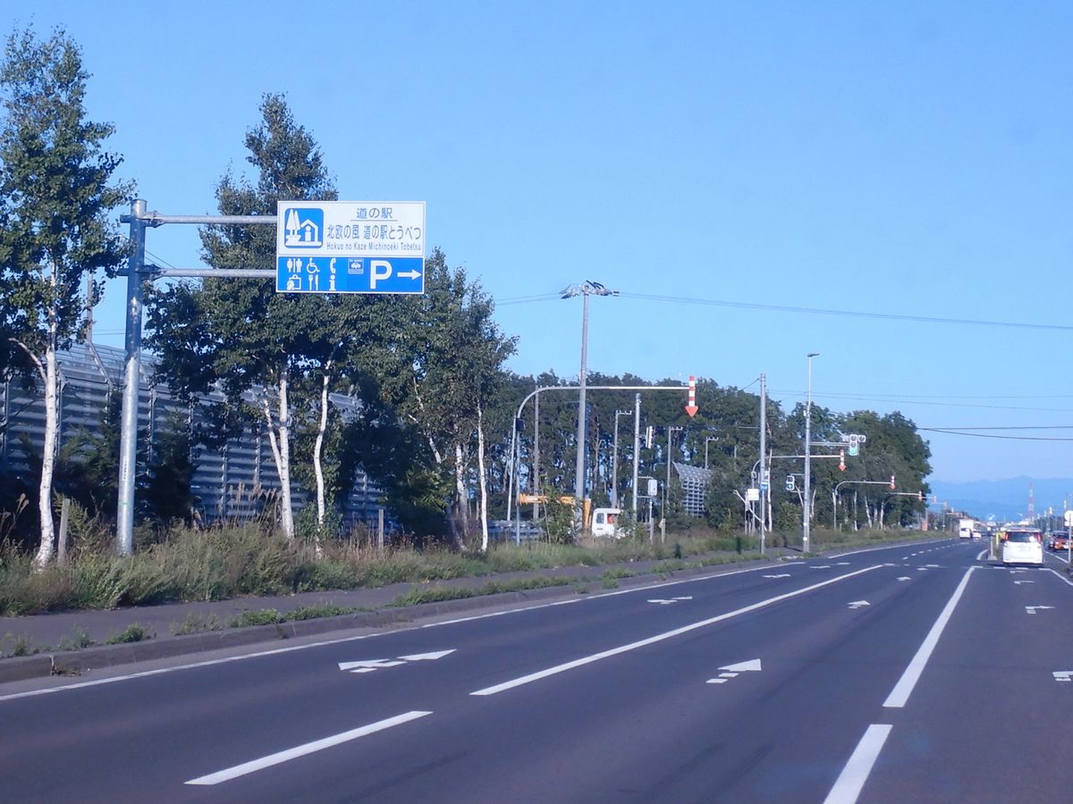 道の駅看板