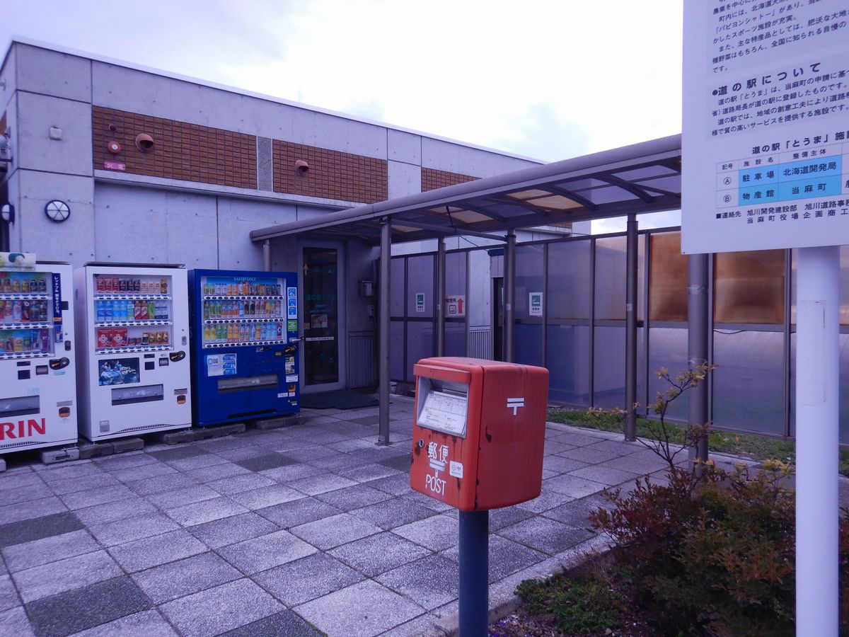 野宿