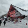 きのこ王国