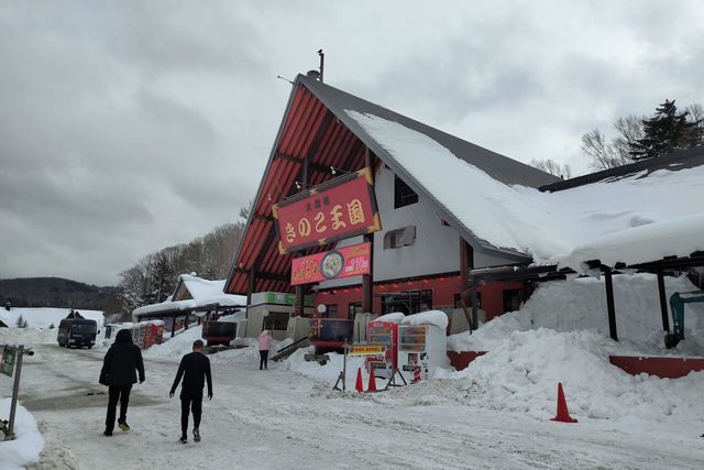 きのこ王国