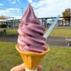 北海道「道の駅ソフトクリーム」